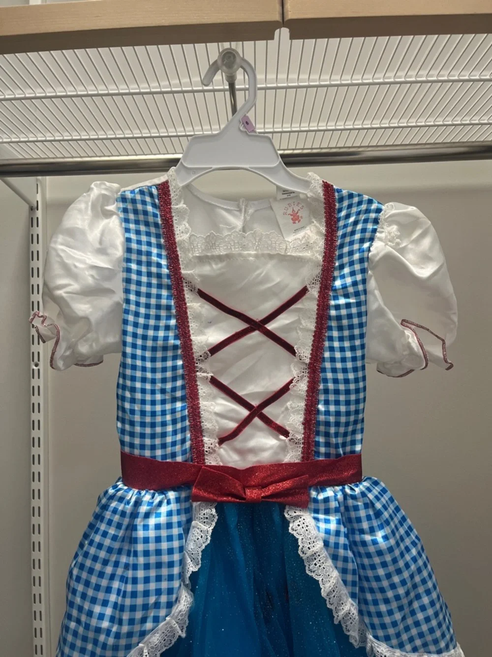 Rubie's Blue Gingham Princess Wizard of Oz Dress with Red Trim